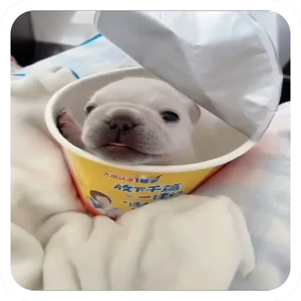 Cup Noodle Pibble, Pibble Batch 01 epic sticker