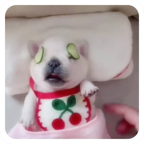 Spa Day, Pibble Batch 01 rare sticker