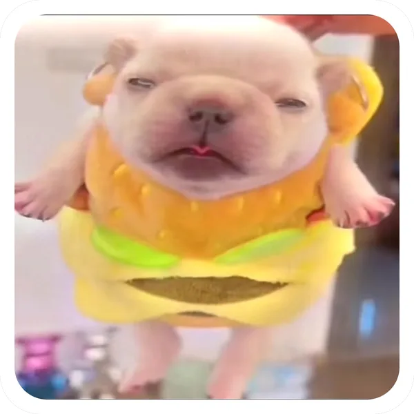 Burger Suit, Pibble Batch 01 common sticker