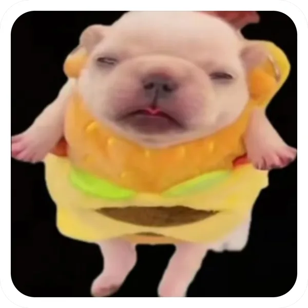 Burger Rot, Pibble Batch 01 rare sticker