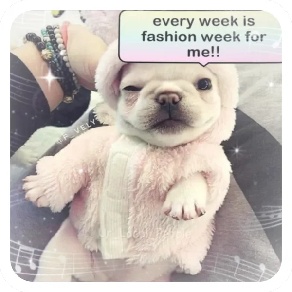 Fashion Week, Pibble Batch 01 rare sticker