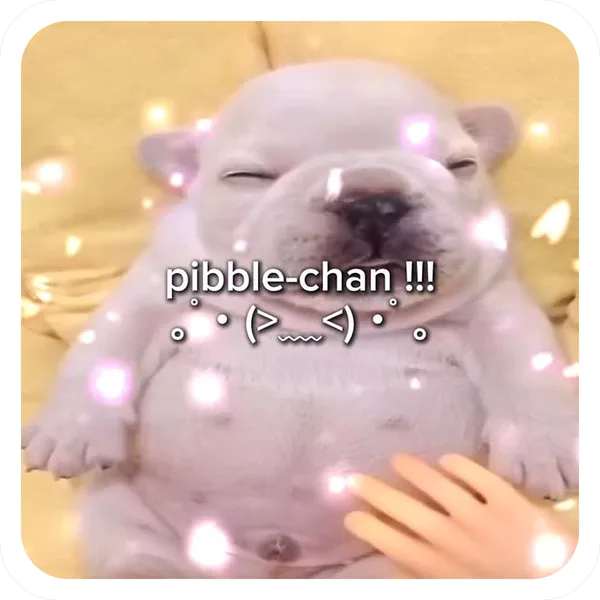 Pibble Chan, Pibble Batch 01 rare sticker