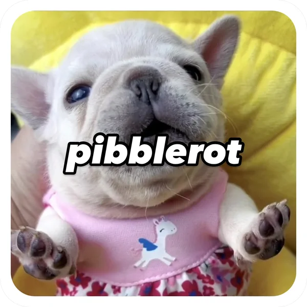 Pibblerot Dress, Pibble Batch 01 common sticker