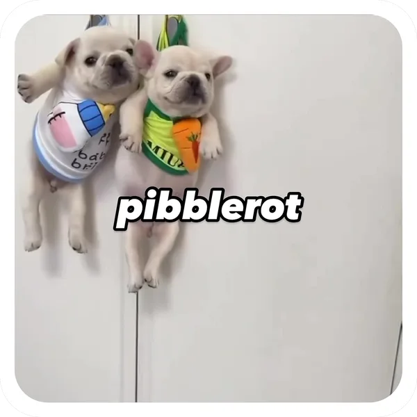 Pibblerot Duo, Pibble Batch 01 common sticker