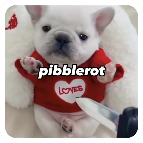 Pibblerot Loves, Pibble Batch 01 common sticker