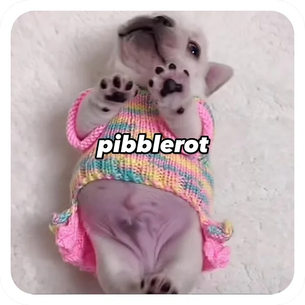 Pibblerot Rainbow, Pibble Batch 01 common sticker