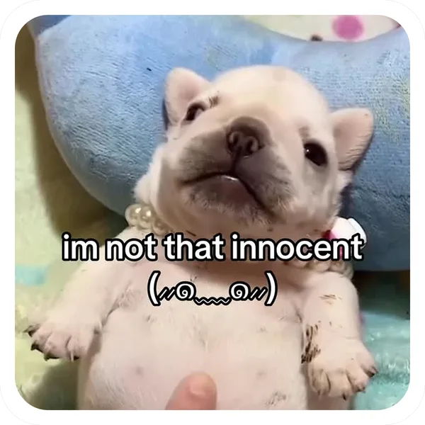 Not That Innocent, Pibble Batch 01 common sticker