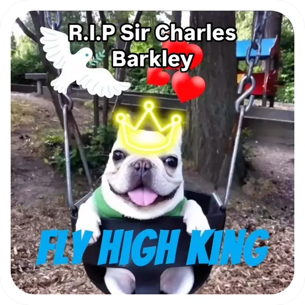 Fly High King, Pibble Batch 01 legendary sticker
