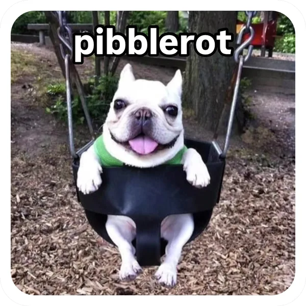 Sir Pibblerot, Pibble Batch 01 rare sticker