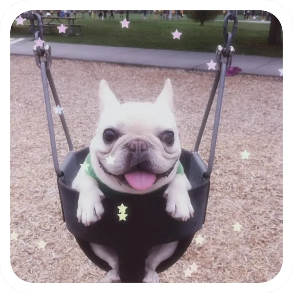 Park Swing, Pibble Batch 01 common sticker