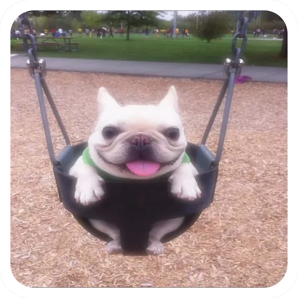 Sunny Swing, Pibble Batch 01 common sticker
