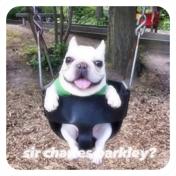 Sir Charles Barkley?, Pibble Batch 01 common sticker
