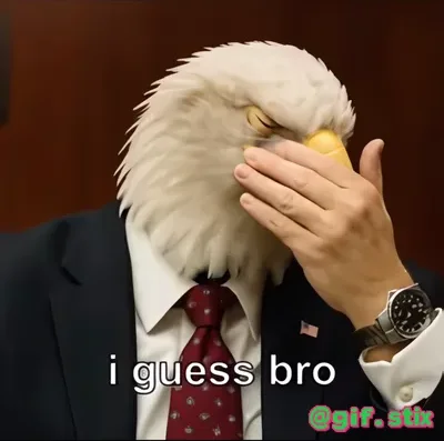 Eagle Facepalm I Guess Bro meme sticker