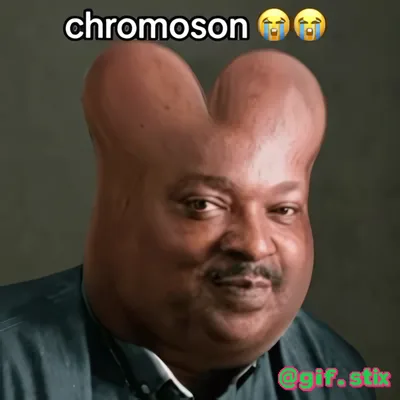 Chromoson Double Dome meme sticker