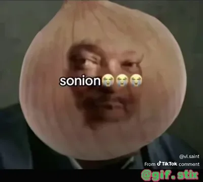 Sonion Face Onion meme sticker