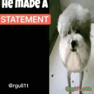 Statement Fluffy White Dog meme sticker