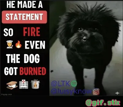 Statement So Fire Dog Burned meme sticker