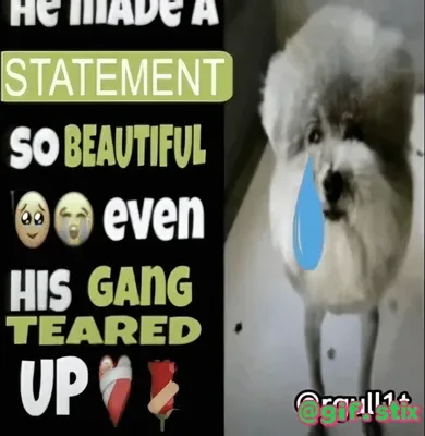 Statement So Beautiful Gang Teared Up meme sticker