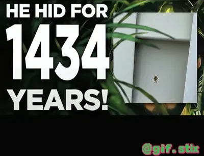 He Hid For 1434 Years meme sticker