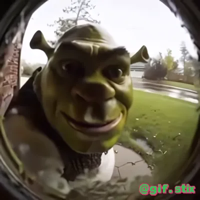 Green Ogre Fisheye meme sticker