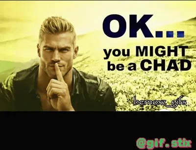 Ok You Might Be A Chad meme sticker
