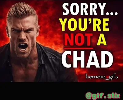Sorry Youre Not A Chad meme sticker