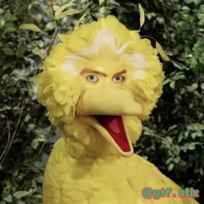 Human Face Yellow Bird meme sticker