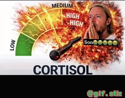 Cortisol Meter Explodes meme sticker