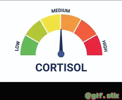 Cortisol Meter Medium meme sticker