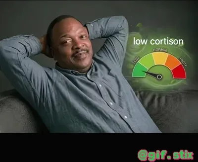 Low Cortisol Couch Lean meme sticker