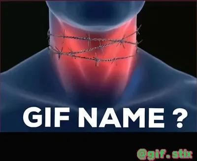 Gif Name meme sticker