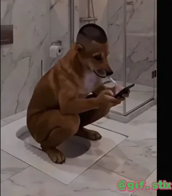 Phone On The Toilet Dog meme sticker