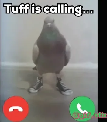 Tuff Is Calling meme sticker