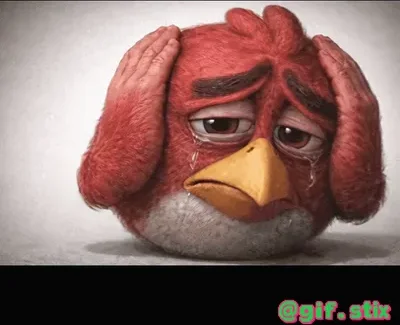 Crying Red Bird meme sticker