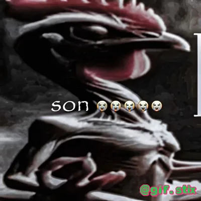 Son Rooster Stare meme sticker