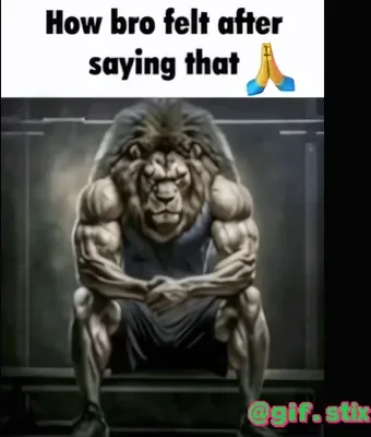 How Bro Felt After Saying That meme sticker