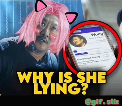 Why Is She Lying meme sticker