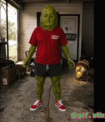 Pickle Man Porch meme sticker