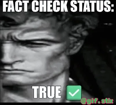 Fact Check True meme sticker