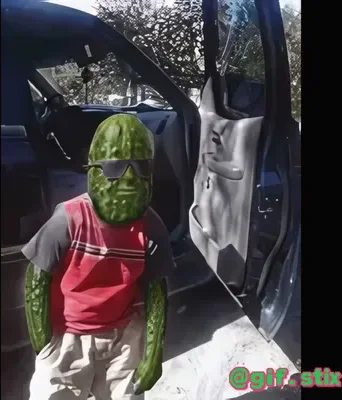 Pickle Man Car Door meme sticker