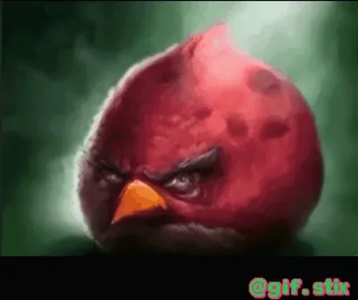 Realistic Red Bird Glare meme sticker
