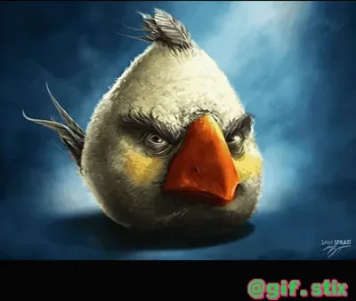 Realistic White Bird Glare meme sticker