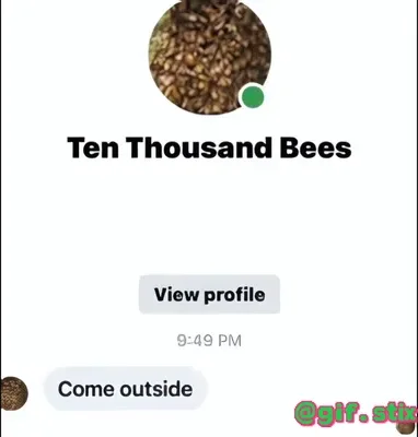 Ten Thousand Bees Come Outside meme sticker