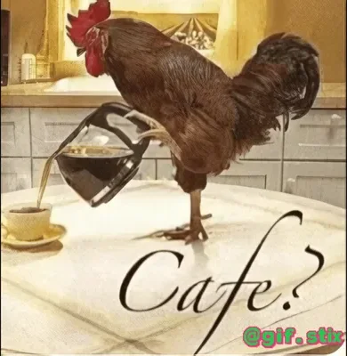 Cafe Rooster meme sticker