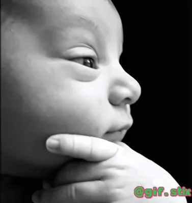 Thinking Baby meme sticker