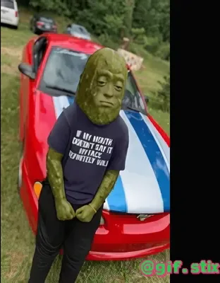 Pickle Man Red Car meme sticker