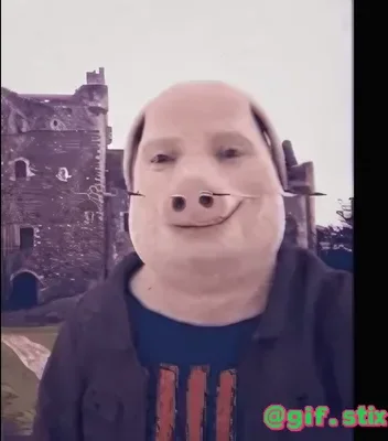 Pig Face Castle Selfie meme sticker