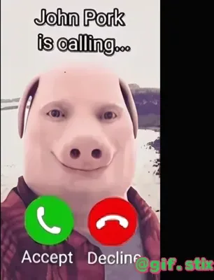 Pig Face Is Calling meme sticker