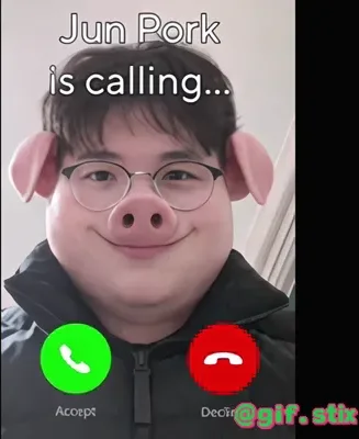 Pig Face Glasses Calling meme sticker