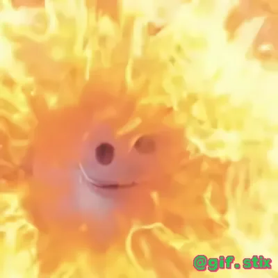 Pig Face In Flames meme sticker